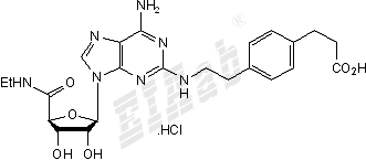 CGS 21680 hydrochloride Small Molecule