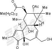 Phorbol 12-myristate 13-acetate Small Molecule