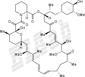 Rapamycin Small Molecule