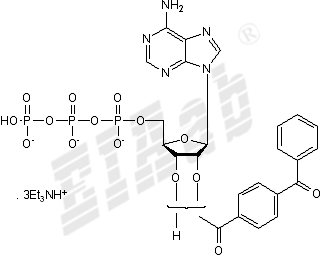 BzATP triethylammonium salt Small Molecule