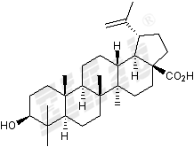 Betulinic acid Small Molecule