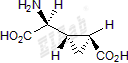 L-CCG-l Small Molecule