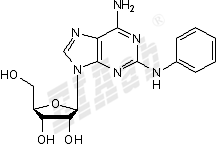 CV 1808 Small Molecule