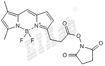 BDY FL, SE Small Molecule