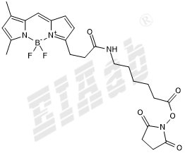 BDY FL-X, SE Small Molecule