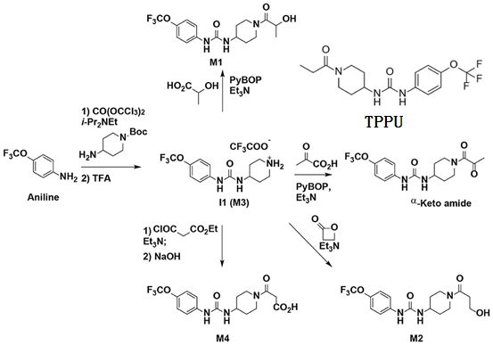 TPPU及其标准代谢物的合成.png