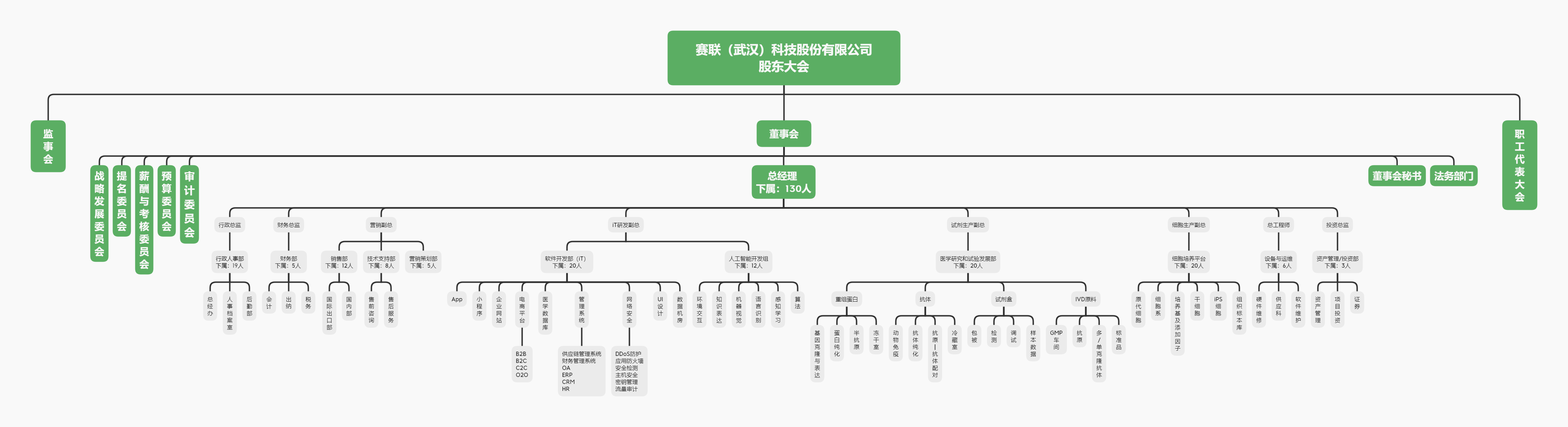 赛联（武汉）科技股份有限公司组织架构.png